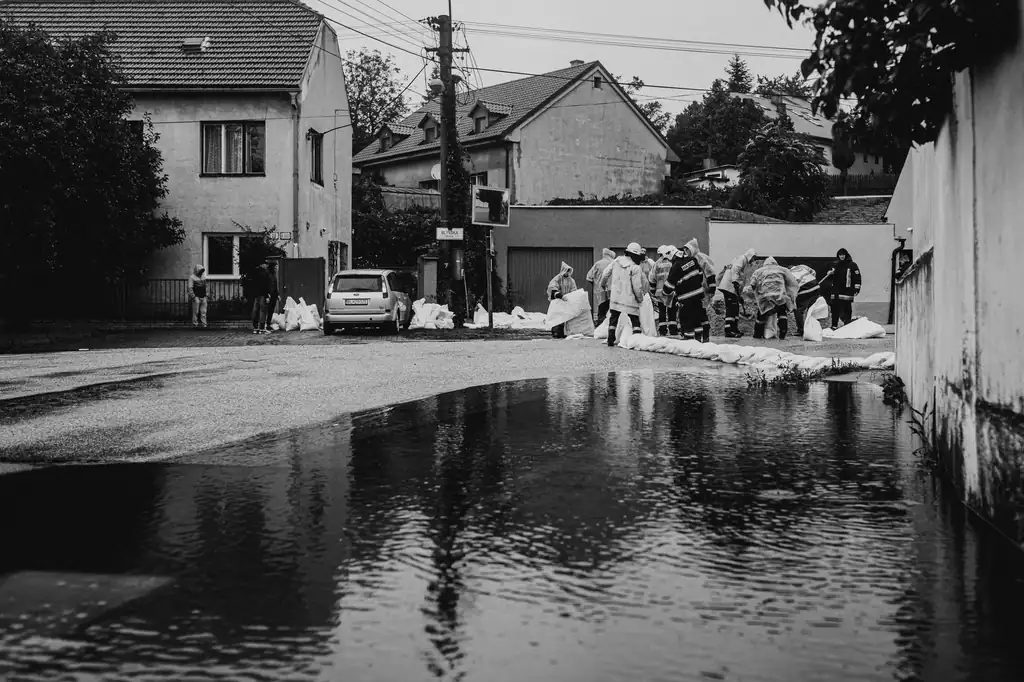 Experienced Water Damage Restoration professional