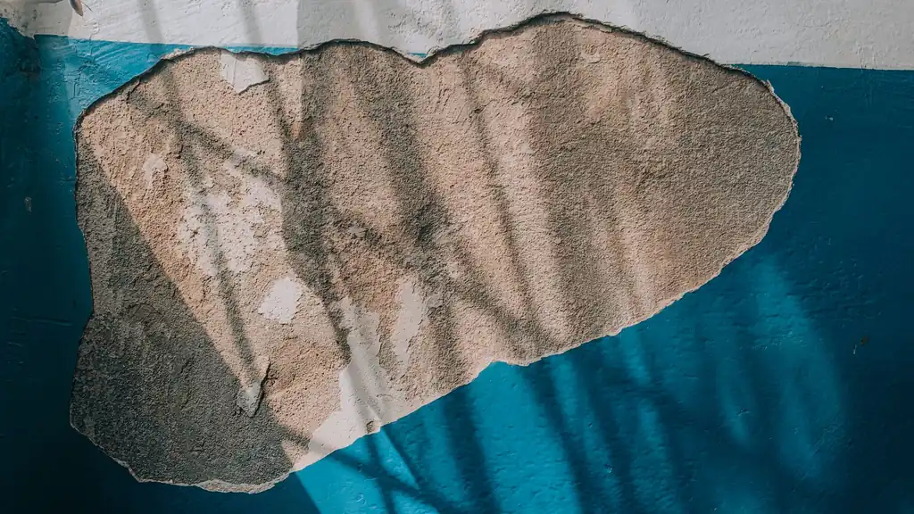 Tools used for Mold Remediation